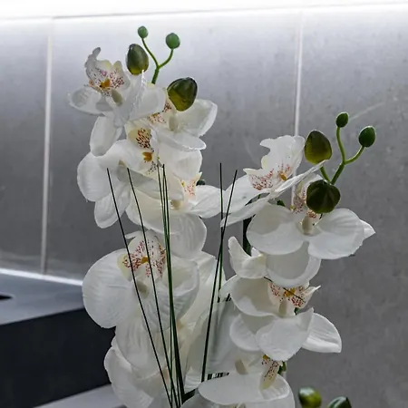 Holiday home Foral Dreams Faja de Cima