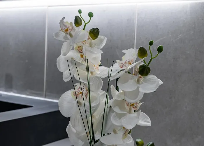 Prázdninový dům Foral Dreams Fajã de Cima